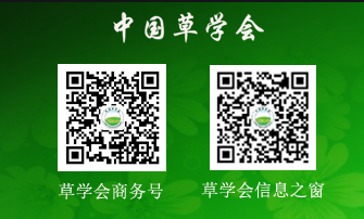 公众号与订阅号