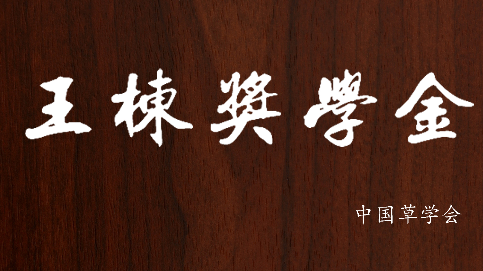 关于2018年度“王栋奖学金”申报评审工作的通知