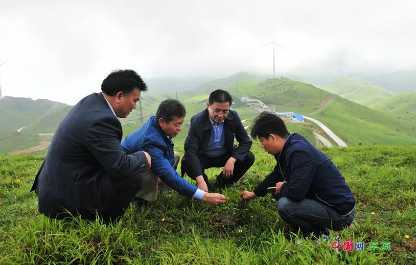 国家林草局刘加文副司长：加快草种业发展 打牢生态修复基础