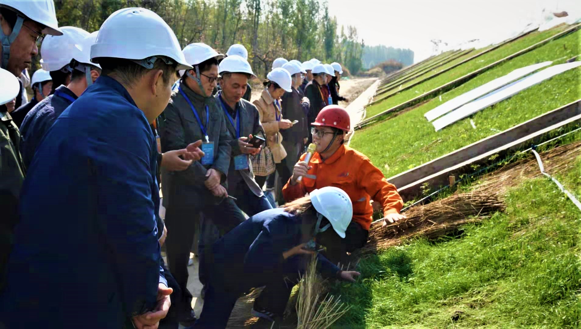 徐礼根理事反季节喷播绿化技术在国家重点工程京雄城际铁路边坡生态防护上应用