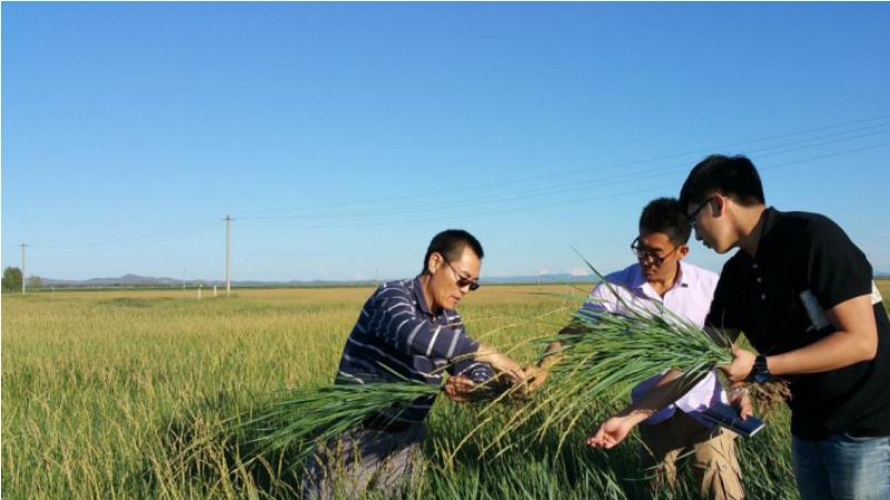 中国草学会草业生物技术委员会主任|刘公社：25年只为种好一棵草