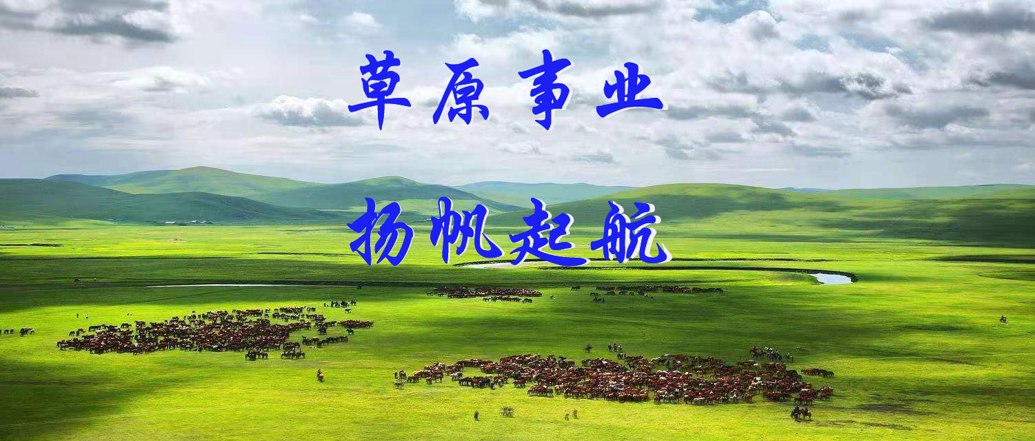 2020年我国草原工作十大亮点