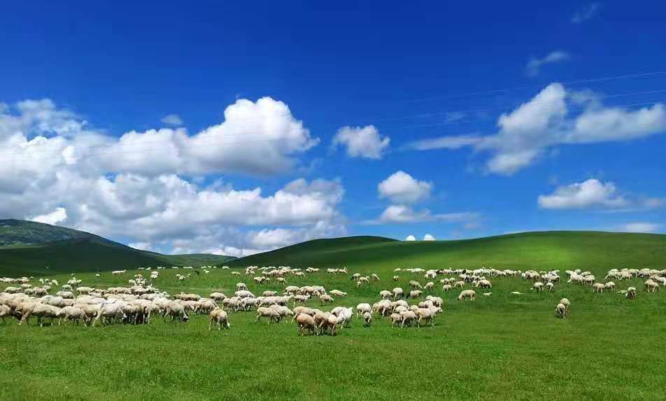 6.18重温任继周院士著名论述：草可富国！