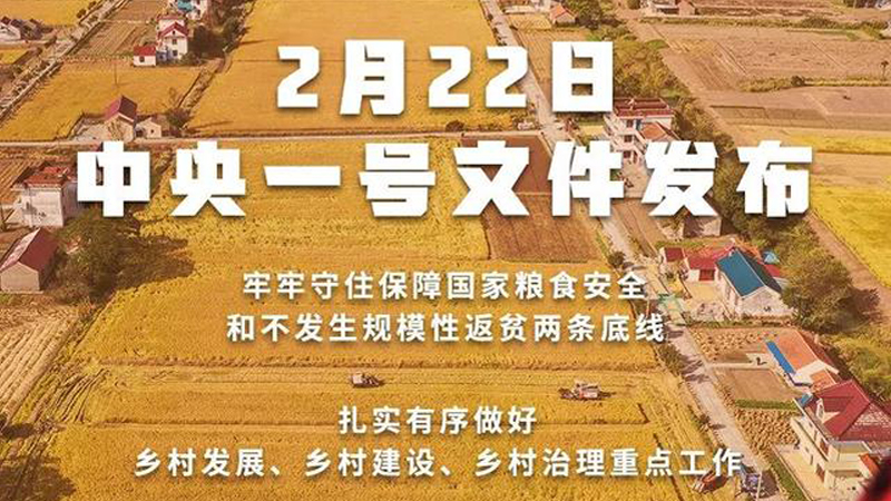 2022年中央一号文件