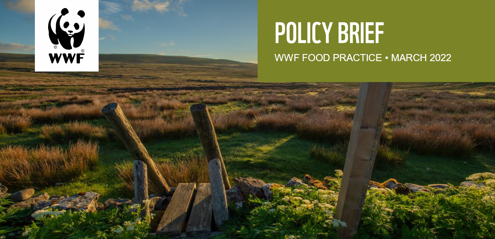WWF发布关于草地生态系统保护的政策简报