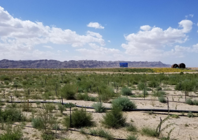 小草大业 | 校地合作为矿区生态修复提供科技支撑