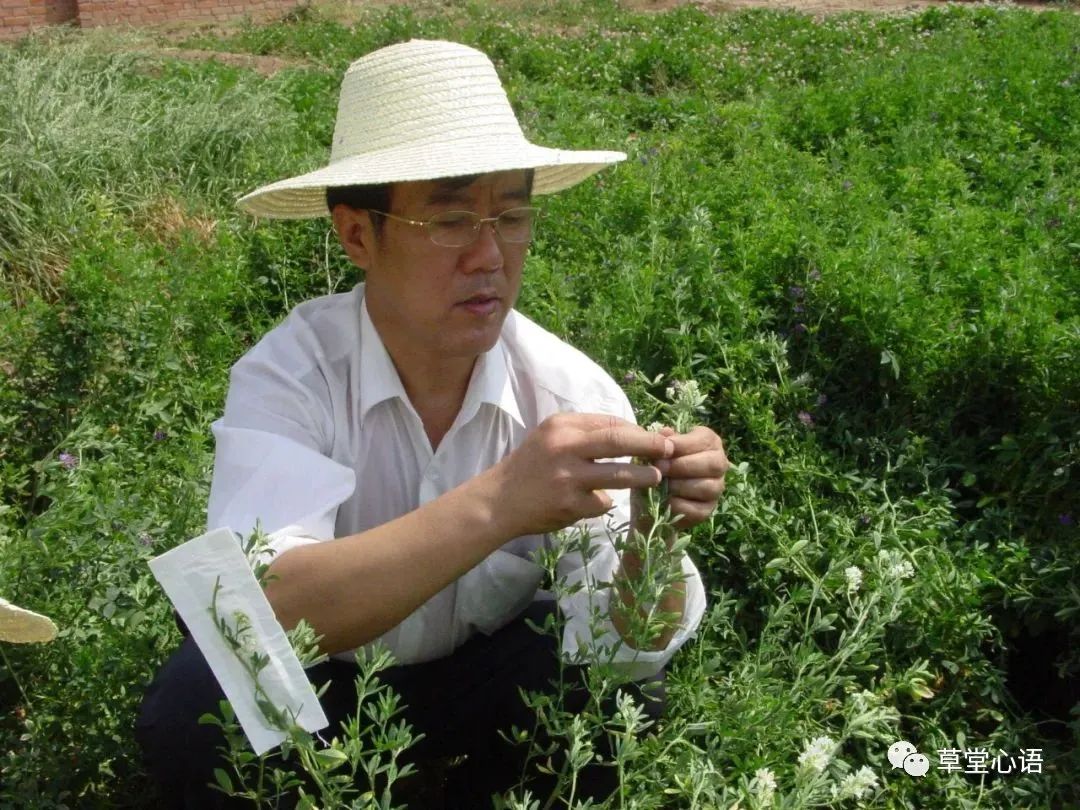 致敬 | 王成章教授：春风化雨育桃李 润草无声洒春晖