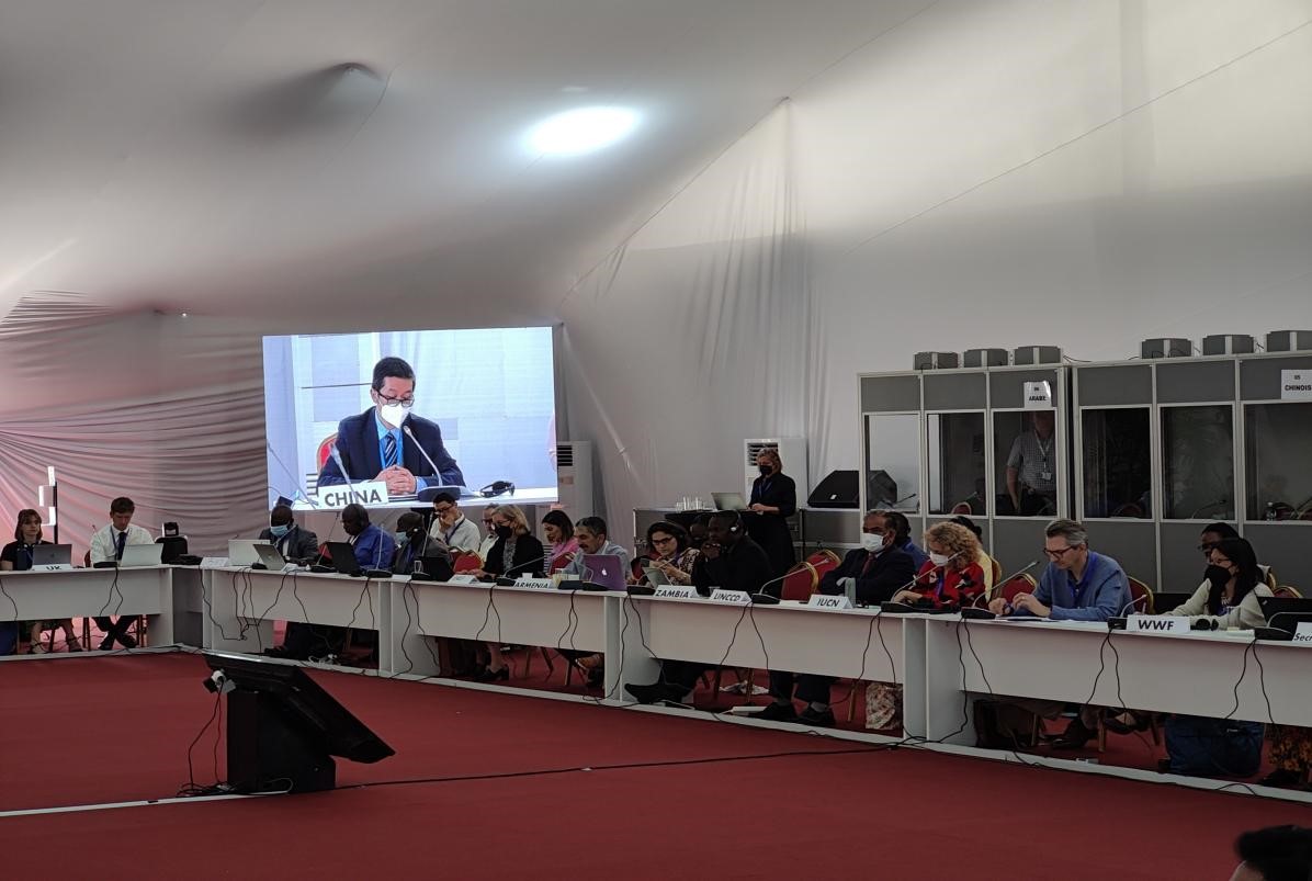 草学会专家为中国政府对《联合国防治荒漠化公约》第十五次缔约方大会成立“草原联盟”的倡议表态提供专业支撑